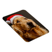 Goldener Retriever für seine Weihnachten Magnet (Rechte Seite)