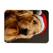 Goldener Retriever für seine Weihnachten Magnet (Horizontal)