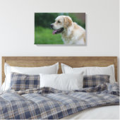 Goldener Retriever Headshot 2 2 Leinwanddruck (Insitu (Schlafzimmer))