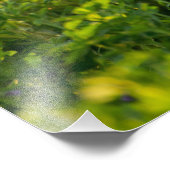 Goldener Retriever Hochwertige Foto Print (Ecke)