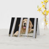Goldener Retriever Humorer Geburtstag Karte (Gelbe Blume)