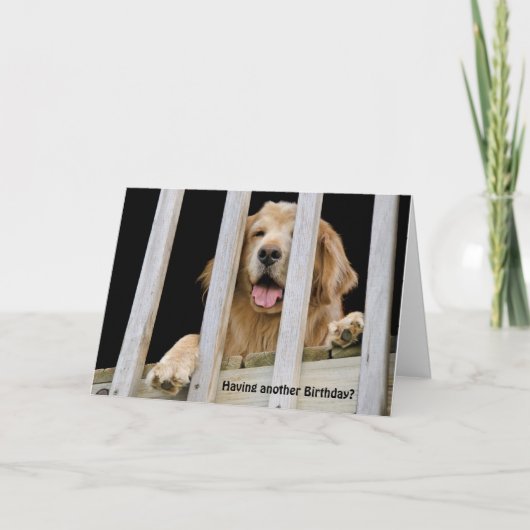 Goldener Retriever Humorer Geburtstag Karte (Vorderseite)