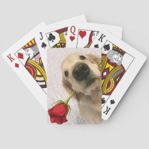 Goldener Retriever-Hund mit Roter Rose Spielkarten