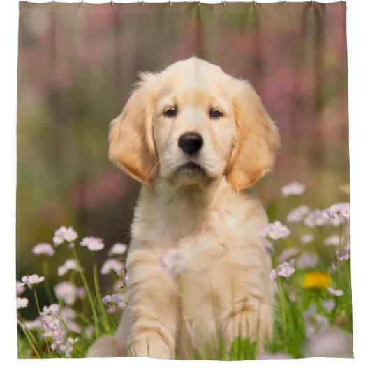 Goldener Retriever-Hundniedlicher Goldie Welpe, Duschvorhang (Vorderseite)
