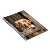 Goldener Retriever im Bargelfenster Notizblock (Rechte Seite)