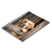 Goldener Retriever im Bargelfenster Notizblock (Linke Seite)