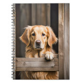 Goldener Retriever im Bargelfenster Notizblock (Vorderseite)