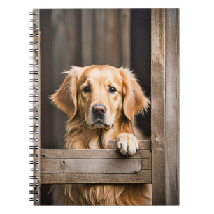 Goldener Retriever im Bargelfenster Notizblock