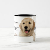 Goldener Retriever im Hundebund Zweifarbige Tasse (Mittel)
