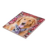 Goldener Retriever im Scarno Fliese (Seite)