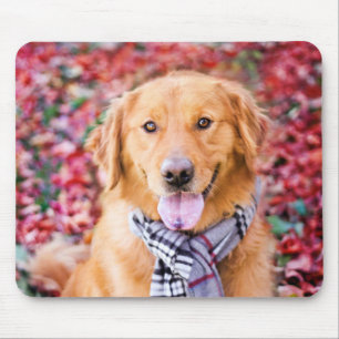 Goldener Retriever im Scarno Mousepad