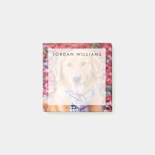 Goldener Retriever im Scarno Post-it Klebezettel (Vorderseite)