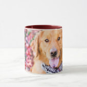 Goldener Retriever im Scarno Tasse (Zentrum)