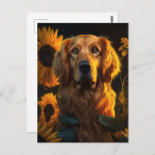 Goldener Retriever im Sonnenblumen Feld - Postkart Postkarte (Vorne/Hinten)