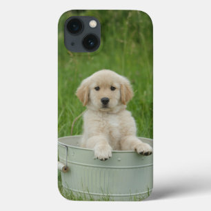 Goldener Retriever im Waschbecken Case-Mate iPhone Hülle