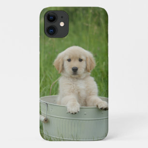 Goldener Retriever im Waschbecken Case-Mate iPhone Hülle