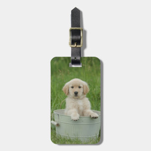 Goldener Retriever im Waschbecken Gepäckanhänger