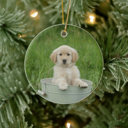 Goldener Retriever im Waschbecken Keramik Ornament (Baum)