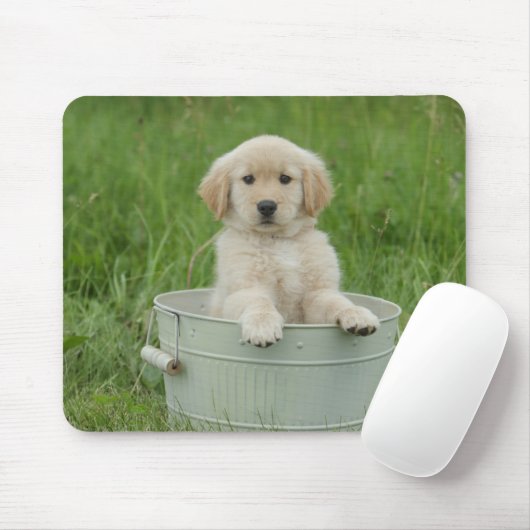 Goldener Retriever im Waschbecken Mousepad (Mit Mouse)