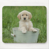 Goldener Retriever im Waschbecken Mousepad (Vorne)