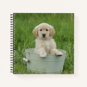 Goldener Retriever im Waschbecken Notizblock