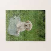 Goldener Retriever im Waschbecken Puzzle (Horizontal)