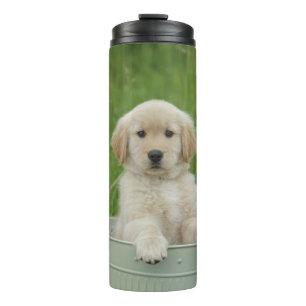 Goldener Retriever im Waschbecken Thermosbecher
