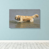 Goldener Retriever im Wasser Leinwanddruck (Insitu (Holzboden))