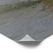 Goldener Retriever im Wasser Poster (Ecke)