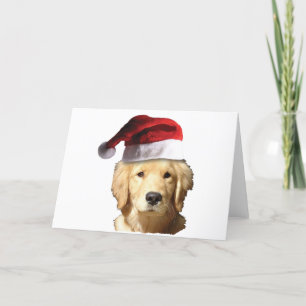 Goldener Retriever in der Weihnachtsmannmütze Feiertagskarte
