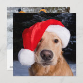 Goldener Retriever in der Weihnachtsmannmütze Feiertagskarte (Vorne/Hinten)