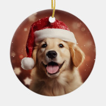 Goldener Retriever in der Weihnachtsmannmütze