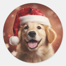 Goldener Retriever in der Weihnachtsmannmütze
