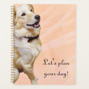 Goldener Retriever in einem Bowtie-Planer Planer