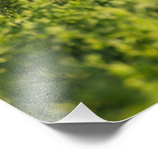 Goldener Retriever in Fields Foto Print (Ecke)