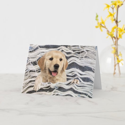 Goldener Retriever in Frayed Denim Karte (Gelbe Blume)