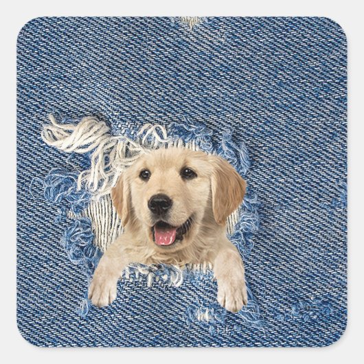 Goldener Retriever in geruchtem Denim-Stoffloch Quadratischer Aufkleber (Vorderseite)