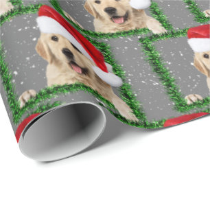 Goldener Retriever in grünem Rahmen Geschenkpapier