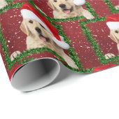 Goldener Retriever in grünem Rahmen Geschenkpapier (Rolleneckpunkt)
