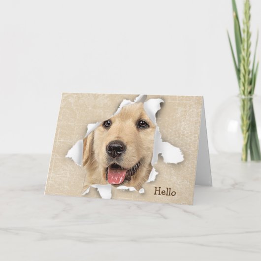 Goldener Retriever in Paper Hole Hello Card Karte (Vorderseite)