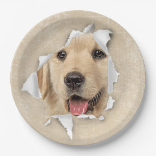 Goldener Retriever in Paper Hole Pappteller