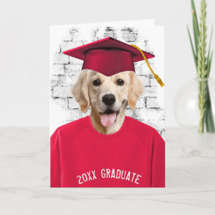 Goldener Retriever in Rot-T - Shirt Karte
