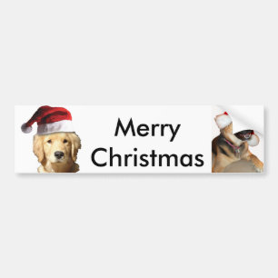 Goldener Retriever in Weihnachtsmannmütze Autoaufkleber