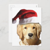 Goldener Retriever in Weihnachtsmannmütze Feiertagspostkarte (Vorne/Hinten)