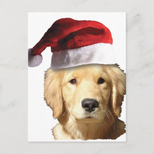 Goldener Retriever in Weihnachtsmannmütze Feiertagspostkarte