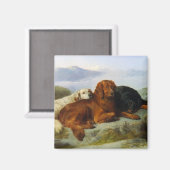 goldener Retriever, irischer und Gordon-Setter-Mag Magnet (Vorderseite/Rückseite)