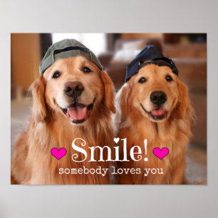 Goldener Retriever jemand Lieben Sie Poster