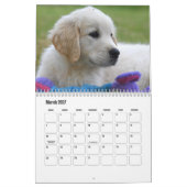 Goldener Retriever Kalender (Mär 2027)