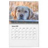 Goldener Retriever Kalender (Feb 2026)