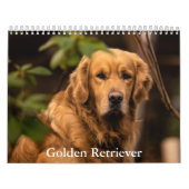 Goldener Retriever Kalender (Titelbild)